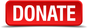 Donate button